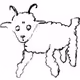 Ideal Animals