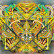 Trippy Experiences