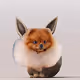 DOGIMON BY NFT LAB