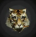 Cryptic Tigers