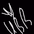 NFT ivv