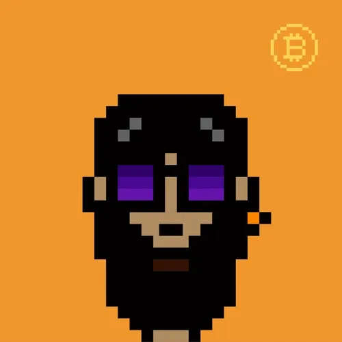 This is not BTC PUNK (Polygon)