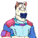 jumpter horse