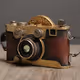 Lost Camera