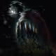void stories