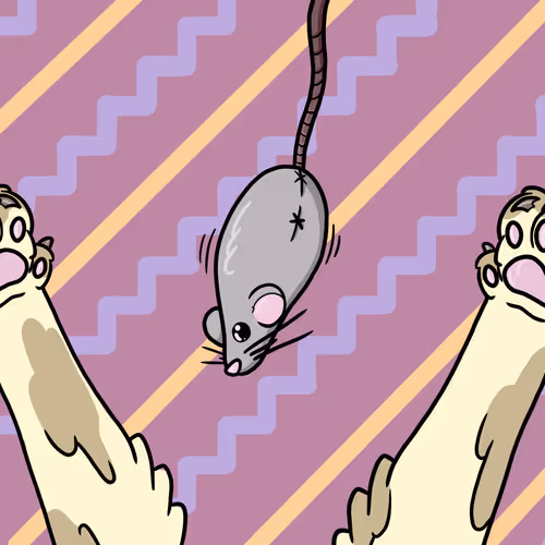 Kingdom of Feet: Pet Pals