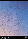 beautiful sceneries V4