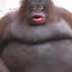 return to le monke