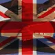 Brit Pig