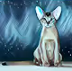 danger cats1