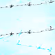 barb wire