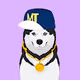Mooftrait Polygon