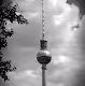 Golden shots from Berlin
