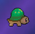 Turtle Toons