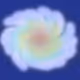 Non-Fungible Galaxies