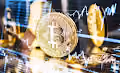 Bitcoin NFT Collections