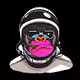 Space Ape Collection