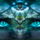 Fantasy Art - Collection