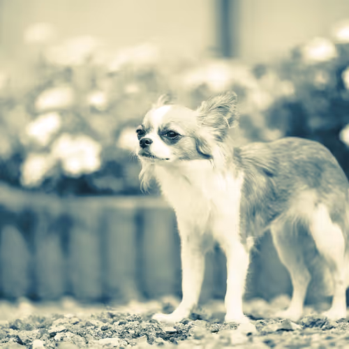 matsuuuun teal&orange memories