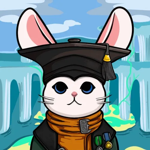 WHITE RABBIT YACHT CLUB