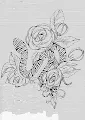 POISON EYEWE