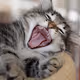 Don't yawn