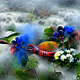 fairy thought