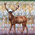 Oh Deer Me