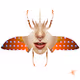 INSECTOIDZ