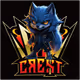 CREST Icekun