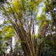 Trinidad Nature Photography