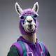 Web3Kend Polygon Llama's