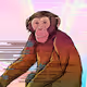 Ape Report POLY