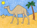 The dromedary / Arabian Camel