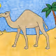 The dromedary / Arabian Camel