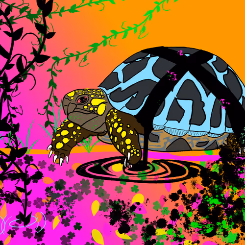 Terrapin Highway