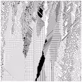 cellular automata 44