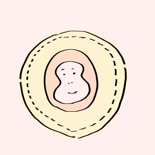 koya's animal collection