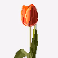 Bubble Trouble Art Collection