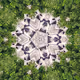 Ancient Geometrics