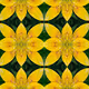 Abstract Nature by Neco