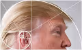 trumponacci