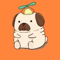 Crazy Pugz
