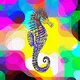 CharmingSeaHorse