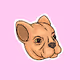 Sendogs.nft