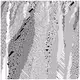 cellular automata 38