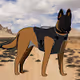 Canine Heroes