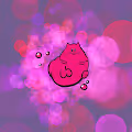 Boo le Chat
