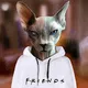 CryptoSphynx