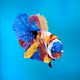 Beautiful Creature V2